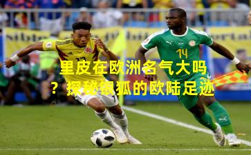 里皮在欧洲名气大吗?探秘银狐的欧陆足迹 里皮在欧洲名气大吗?探秘银狐的欧陆足迹