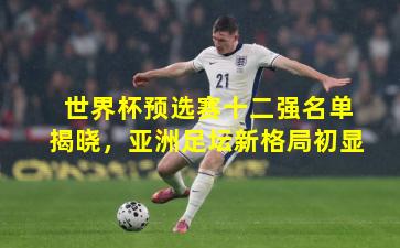 世界杯预选赛十二强名单揭晓,亚洲足坛新格局初显 世界杯预选赛十二强名单揭晓,亚洲足坛新格局初显
