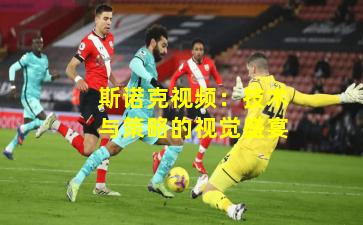 斯诺克视频：技术与策略的视觉盛宴