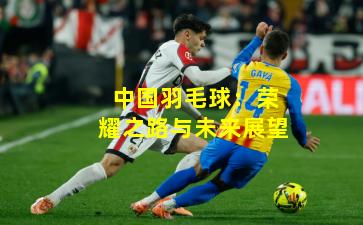 中国羽毛球：荣耀之路与未来展望