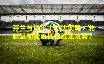 芬兰与威尔士对决前瞻：北欧坚韧能否抵挡红龙攻势？