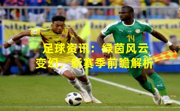足球资讯:绿茵风云变幻,新赛季前瞻解析 足球资讯:绿茵风云变幻,新赛季前瞻解析