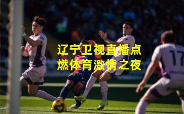 辽宁卫视直播点燃体育激情之夜