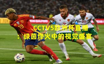 CCTV5欧洲杯直播：绿茵烽火中的视觉盛宴