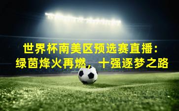  世界杯南美区预选赛直播：绿茵烽火再燃，十强逐梦之路